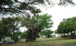 Winklespruit Caravan Park - Illovo river - S 30d 06.346 E 30d 51 (11)