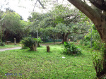 Winklespruit Caravan Park - Illovo river - S 30d 06.346 E 30d 51 (3)