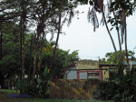Winklespruit Caravan Park - Illovo river - S 30d 06.346 E 30d 51 (7)