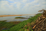 Winklespruit - East Glen Road - Illovo river estuary - S 30.06.404 E 30.51 (4)