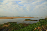 Winklespruit - East Glen Road - Illovo river estuary - S 30.06.404 E 30.51 (6)