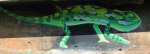 Kloof-overpass-graffiti-33