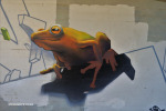 Kloof-overpass-graffiti-58