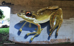 Kloof-overpass-graffiti-by-Giffy-44