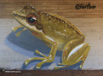 Kloof-overpass-graffiti-by-Giffy35