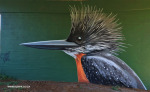 Kloof-overpass-graffiti-by-Giffy41