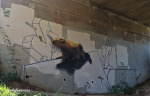Kloof-overpass-graffiti-by-Stops-2020-57