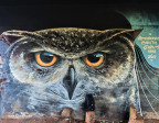 Kloof-overpass-graffiti-remembering-Gareth-Jarvis-48