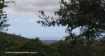 Kloof-Thomas-More-Sea-Views-191