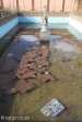 kokstad-central-park-war-memorial-hope-street-11