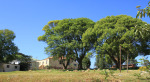 Ahrens - 29.03.758 S 30.45.654 E - residence (1)