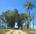 Ahrens - Mispah - turnoff opposite garage - Old farm