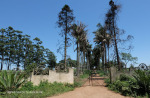 Hazara Estate farm house R74 S29.15.2 E 31.10.59 E  Kranskop Stanger road (1)