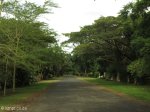 kwambonambe-residential-streets-3