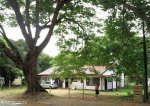 kwambonambe-shops-6