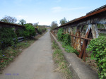 Tongaat  River - Old Road Bridge to mill (closed) (3)