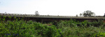 Verulam - Umhloti River -  Wicks Street Lower Bridges - R102 (18)