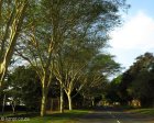 kzn-rinaldo-avenue