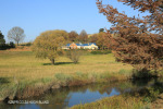 Caversham Farm -  (2)