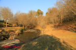 Caversham Mill - Lions Rivers - Transport Road drift (4)