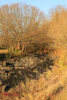 Caversham Mill - Lions Rivers Views and Mill gardens (6)