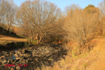 Caversham Mill - Lions Rivers Views and Mill gardens (7)