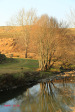 Caversham Mill - Lions Rivers Views and Mill gardens (8)