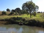 Caversham Mill -  Transport Riders Rivers crossing (7)