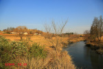 Caversham Mill - upriver from Bridge and farmhouse view (2)