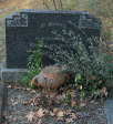 Caversham Press grave  Dave Millar