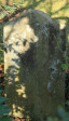 Caversham Press grave  Hodson