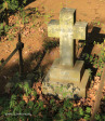 Caversham Press grave Nina Thompson