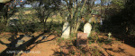 Caversham Press grave views (5)