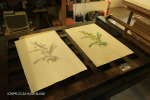 Caversham Press workshop interior (6)