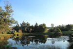 Cranford Country Lodge Lakeside Lapa (4)
