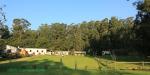 Cranford Country Lodge chalets in tree line (3)