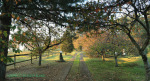 Cranford Country Lodge general grounds (1)