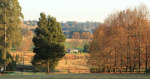 Cranford Country Lodge general grounds (6)