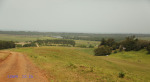 Mtunzini - Mlalazi River Views towards Mtunzini (11)