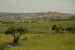 Mtunzini - Mlalazi River Views towards Mtunzini (13)