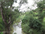 Ladysmith - Bell Spruit Bridge - 28.33.19 S 29.47.41 E - (8)