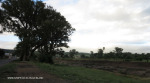 Ladysmith - Settlers Road footbridge site28.33.42 S 29.46.40 E -  (4)