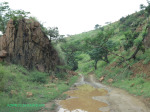 Ladysmith - Klip River - Old Rail Line east of Boer site of Intombi dam - 28.36.51 S 29.50.22 E  .(3)