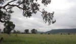 Ladysmith - Intombi Camp Cemetery - Grave - views from cemetery (2)