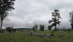 Ladysmith - Intombi Camp Cemetery - Grave - views from cemetery (3)