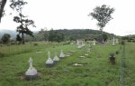Ladysmith - Intombi Camp Cemetery - Grave - views from west end (4)