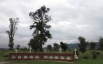 Ladysmith - Intombi Camp Cemetery - Graves - Multiple headstones (10)