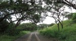 Ladysmith - Intombi Dam Site - 28.36.2 S 29.49.47 E  .JPG (4)