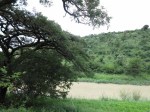 Ladysmith - Intombi Dam Site - 28.36.2 S 29.49.47 E  .JPG (7)
