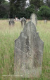 Ladysmith Garden of Remembrance Grave j Smith 1889
